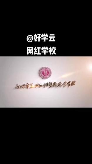 网红校长引领下，传媒职业学校的特色发展之路