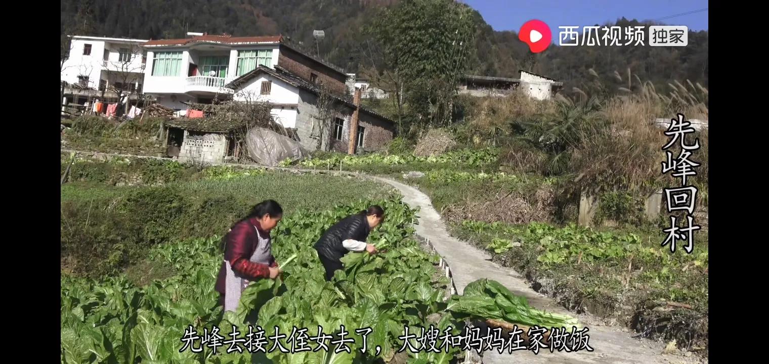 AIGC 重塑传媒艺术教育的人才培养