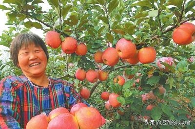AIGC 在传媒艺术教育中的应用与挑战