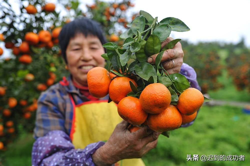 AIGC 在传媒艺术教育中的应用与挑战